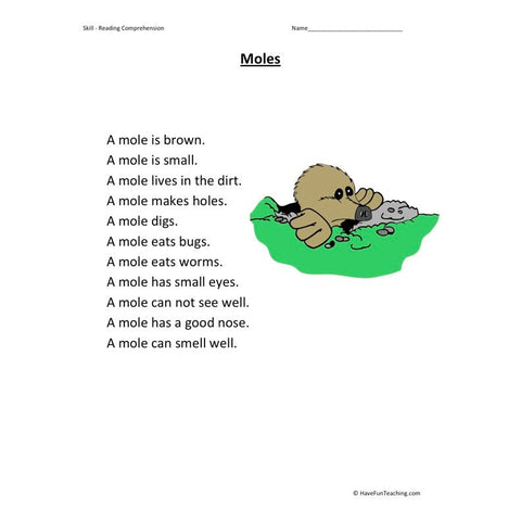 Moles Reading Comprehension Worksheet