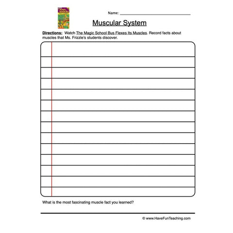 Muscular System Worksheet 2