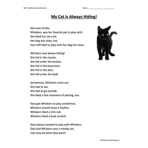 My Cat Is Always Hiding! Worksheet