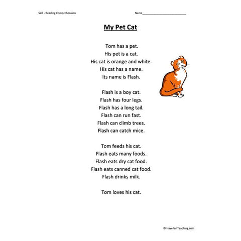 My Pet Cat Kindergarten Reading Comprehension Worksheet