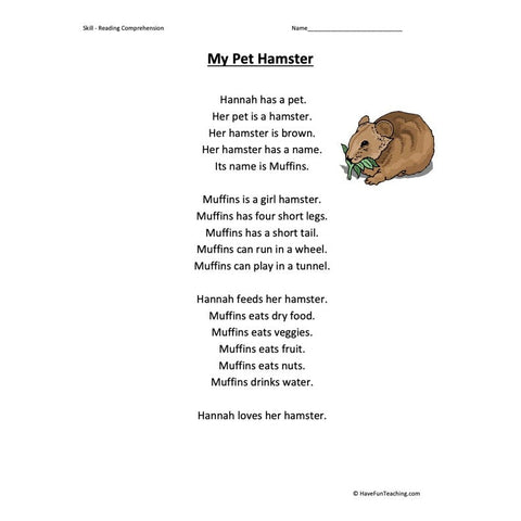 My Pet Hamster Kindergarten Reading Comprehension Worksheet