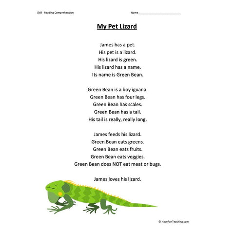 My Pet Lizard Kindergarten Reading Comprehension Worksheet
