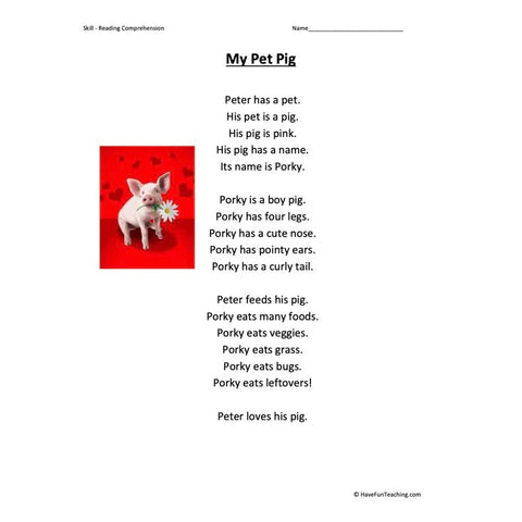 My Pet Pig Kindergarten Reading Comprehension Worksheet