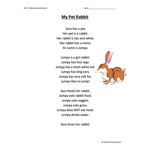 My Pet Rabbit Kindergarten Reading Comprehension Worksheet