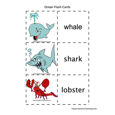 Ocean Flash Cards