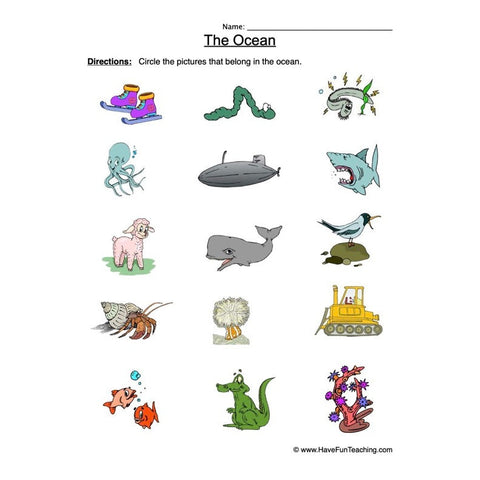 Ocean Worksheet