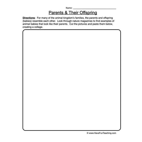 Parents Offspring Worksheet