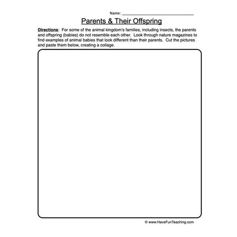 Parents Offspring Worksheet 2