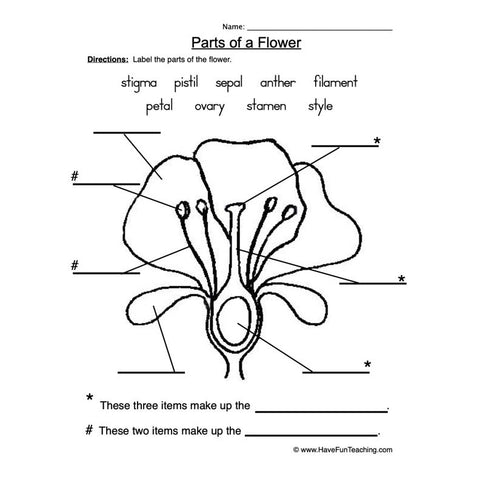 Parts of a Plant Worksheet