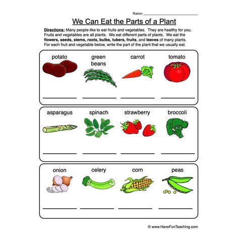Parts of a Plant Worksheet 2