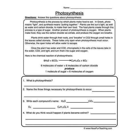 Photosynthesis Worksheet