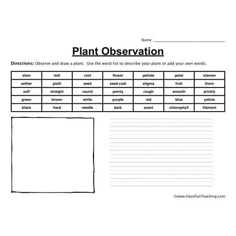 Plant Observation Worksheet