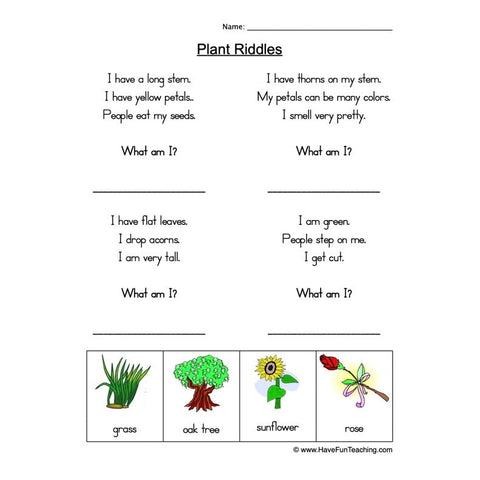 Plant Riddles Worksheet