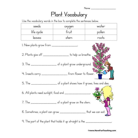 Plant Vocabulary Worksheet