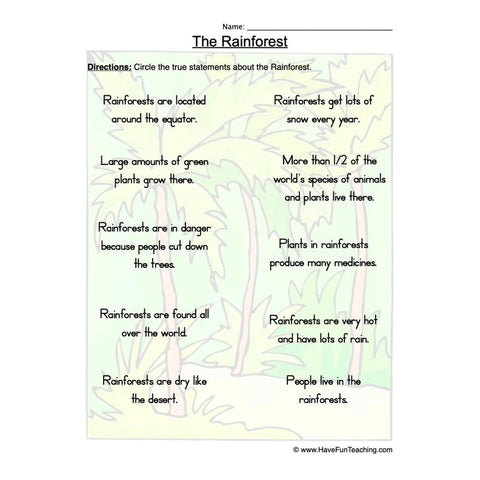 Rainforest Worksheet 2