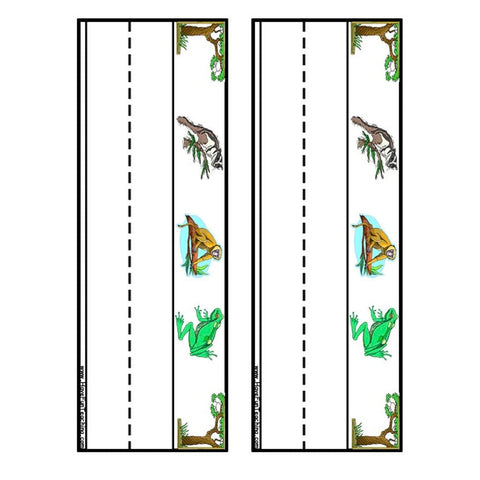 Rainforest Worksheet 3