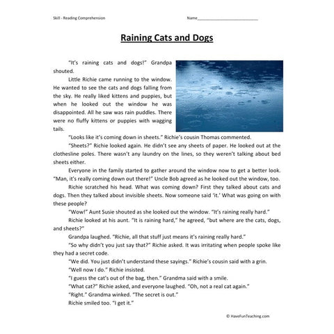 Raining Cats and Dogs Reading Comprehension Worksheet
