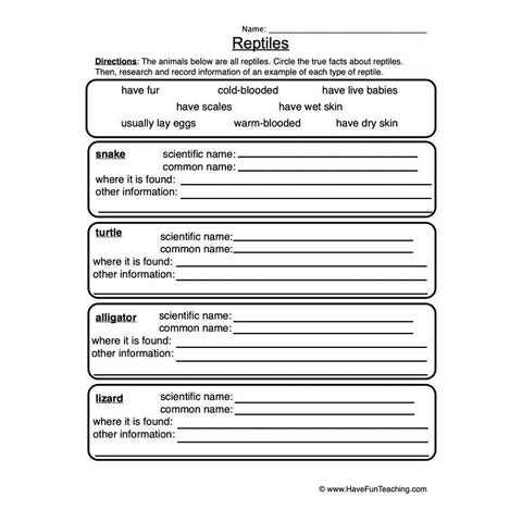 Reptiles Worksheet