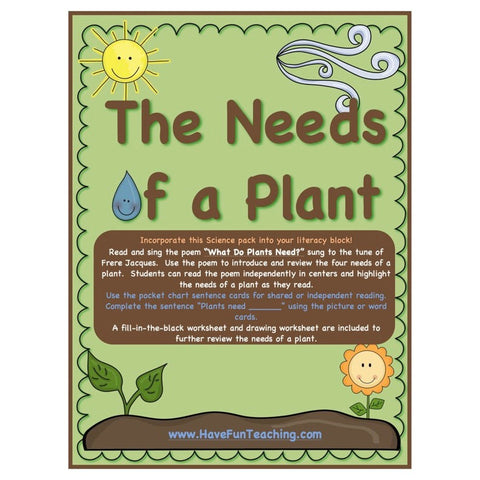 Seeds and Plants Copy Game