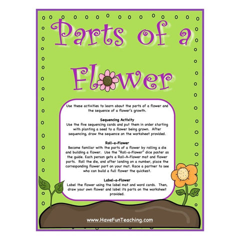 Seeds and Plants Game