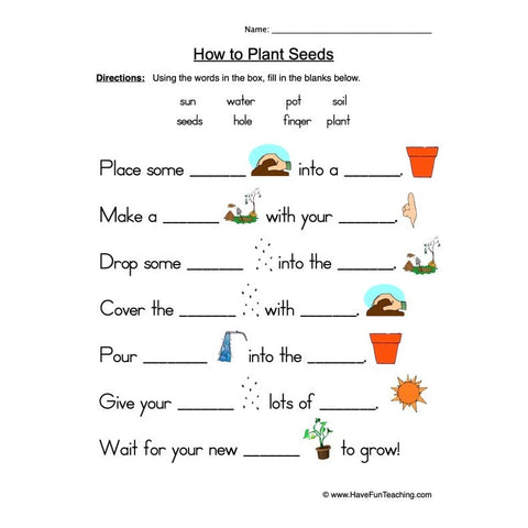 Seeds Plants Worksheet