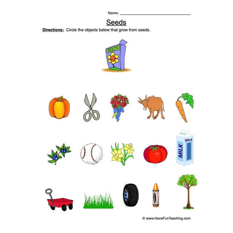 Seeds Worksheet