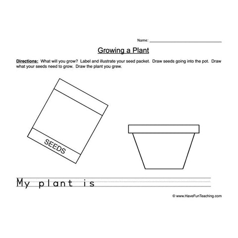 Seeds Worksheet 2