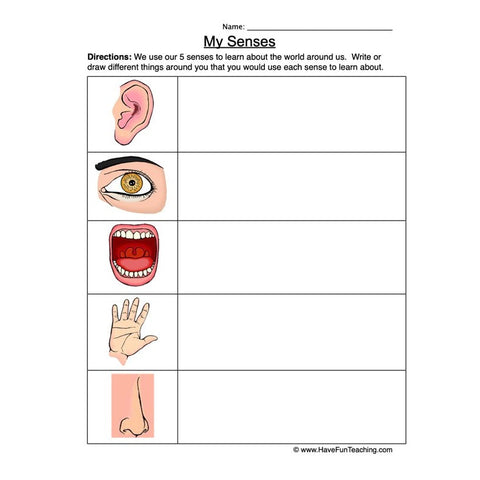 Senses Worksheet
