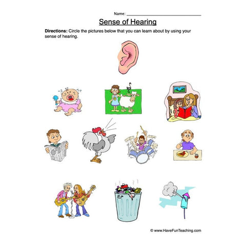 Senses Worksheet 2