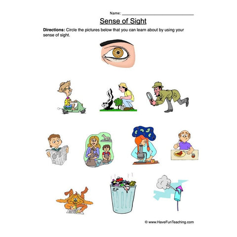 Senses Worksheet 3