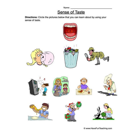 Senses Worksheet 4