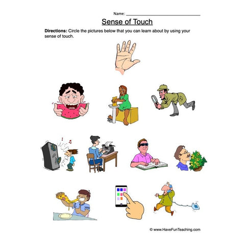Senses Worksheet 5