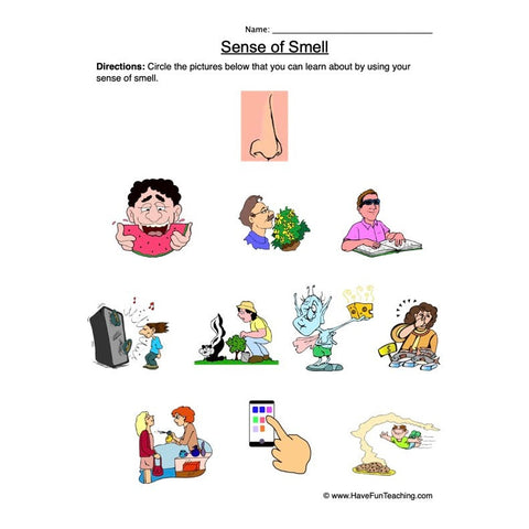 Senses 6 Worksheet