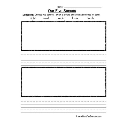 Senses 8 Worksheet