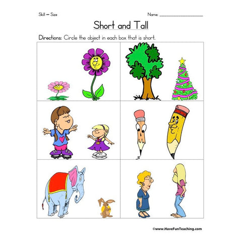 Short and Tall Worksheet