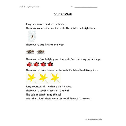 Spider Web Reading Comprehension Worksheet