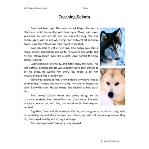 Teaching Dakota Reading Comprehension Worksheet