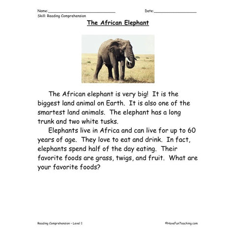 The African Elephant Worksheet