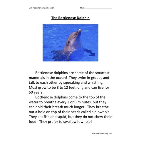 The Bottlenose Dolphin Reading Comprehension Worksheet