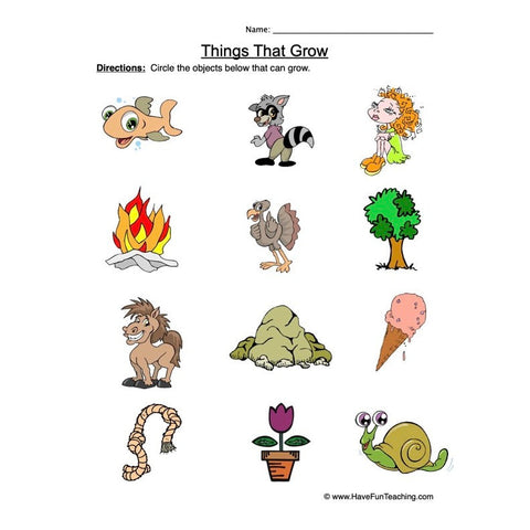 Things That Grow Worksheet