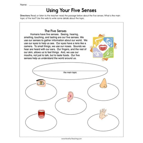Using Your Five Senses Worksheet