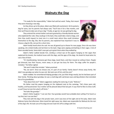 Walnuts the Dog Reading Comprehension Worksheet