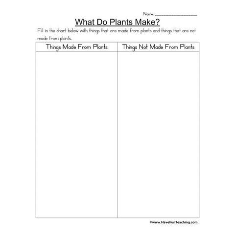What Do Plants Make Worksheet