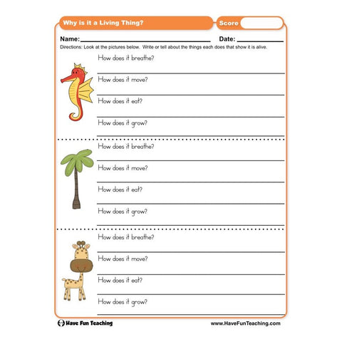 Why Is It a Living Thing Worksheet