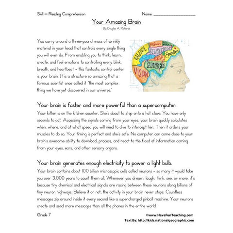 Your Amazing Brain Worksheet